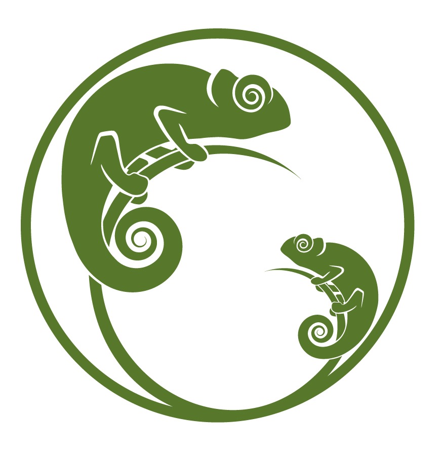 Logo Ajagunmale